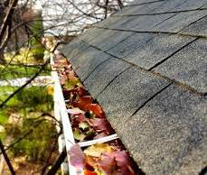 gutter cleaning