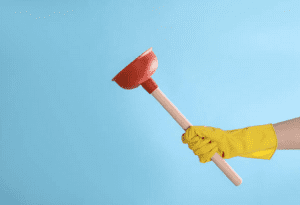 plunger